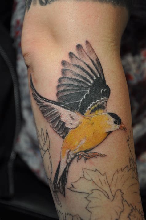 Yellow bird tattoo. Things To Know About Yellow bird tattoo. 